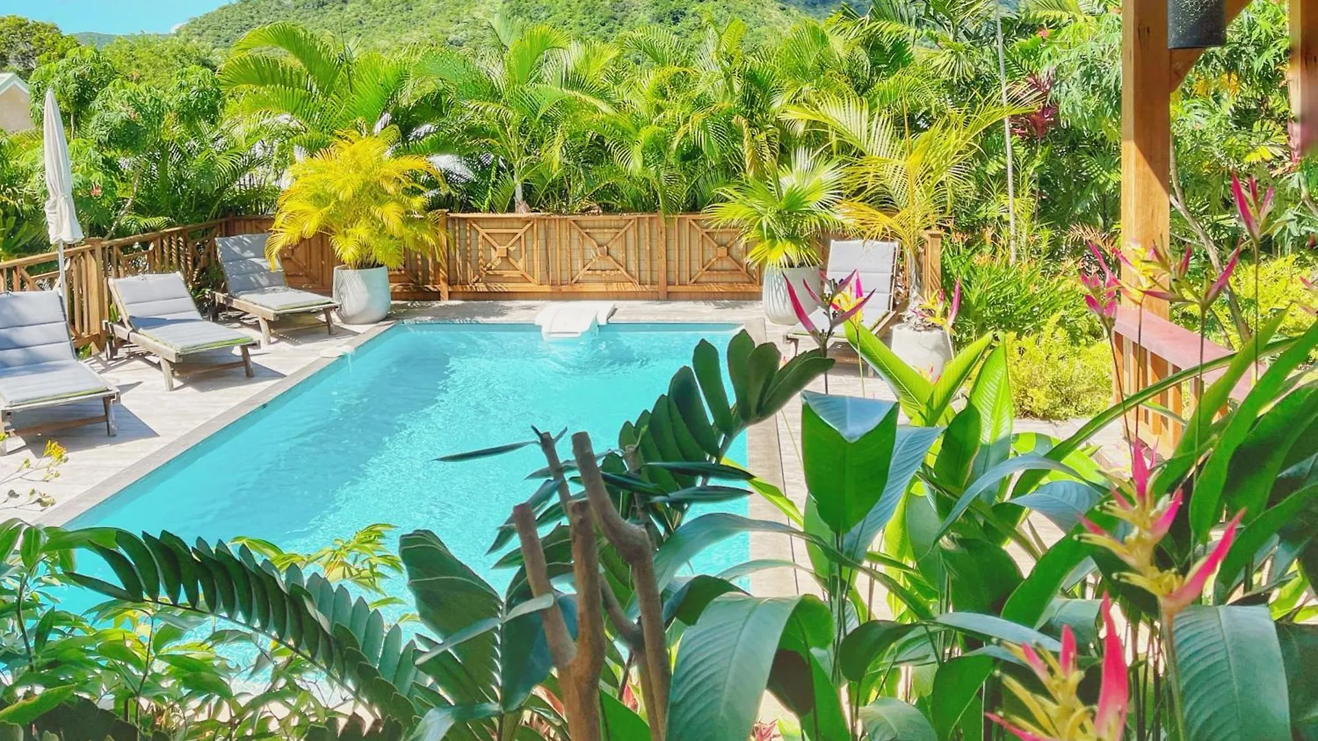 Grande Villa 5 Chambres Et Piscine Villa Green Mango Le Diamant Martinique